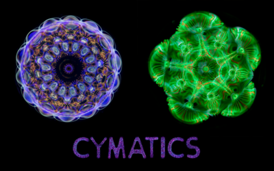 Linden Gledhill’s Cymatics Featured in Business Insider