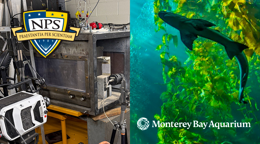 Hadland Imaging's ARA 2026 Program hero image for NPS and Monterey Bay Aquarium tours.